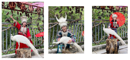 1687762191987.png 7.png