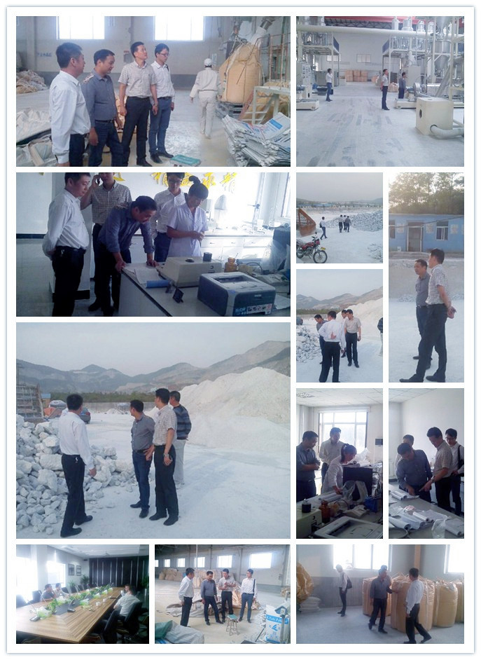 1499395204312027613.jpg 合肥会通组合图.jpg